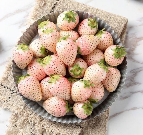 水莓100完全国产免费